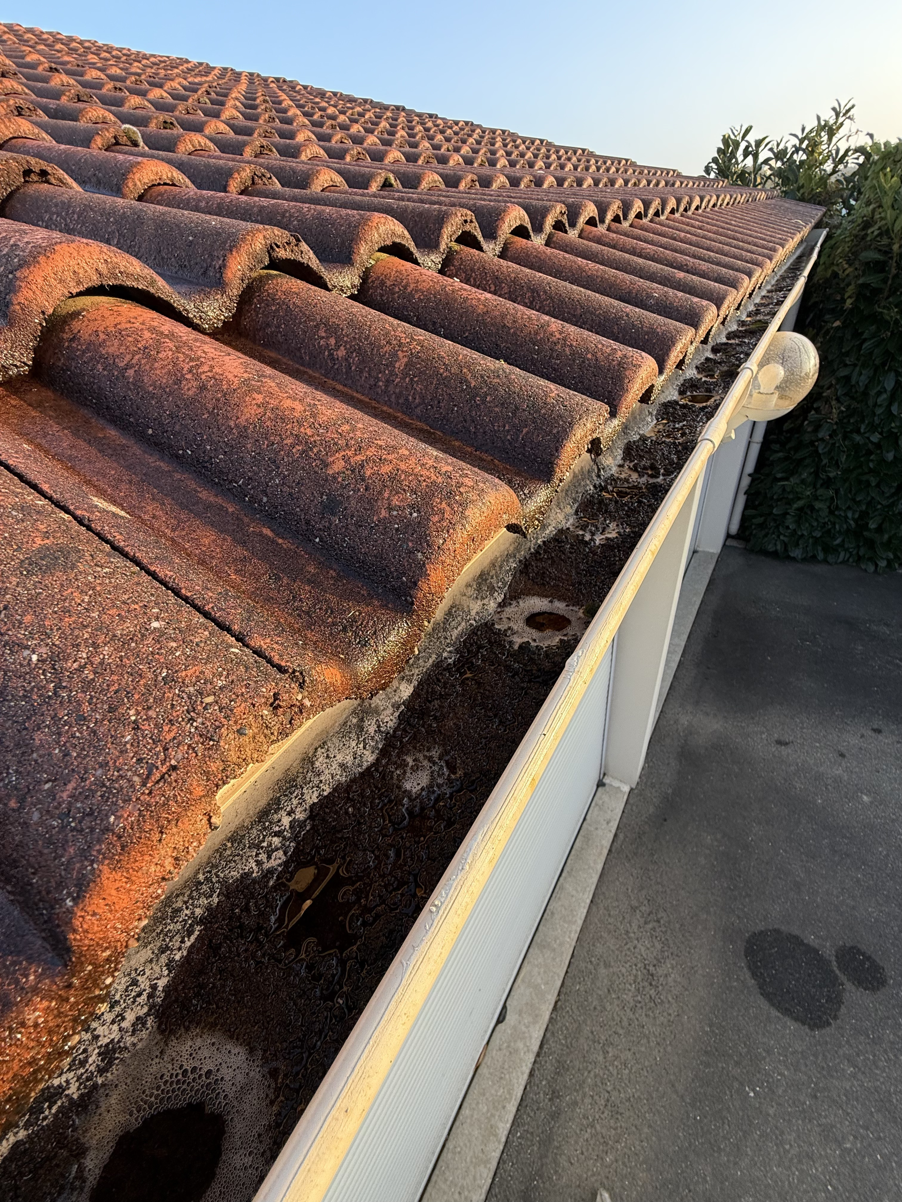 Avant nettoyage gouttière